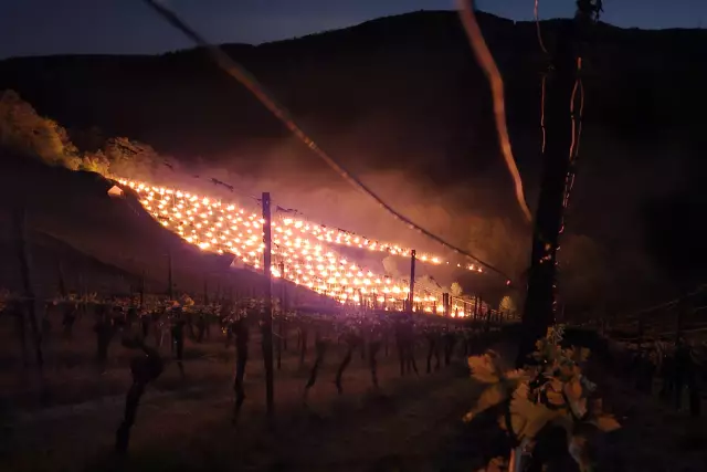 Frostkerzen geben Frostschäden im Weinberg, Weingut Höfler, Franken