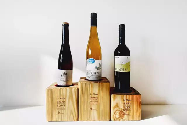 The three winning wines: 1. 2022 Souvignier Gris dry - AUFTAKT line

Winery Abthof, Hahnheim, Rheinhessen

2. 2022 Souvignier Gris, Britzinger Sonnhole, ice wine

Winzergenossenschaft Britzingen Markgräflerland eG, Britzingen, Baden

3. 2023 Sauvignac feinherb

Rainer Antweiler Winery, Volxheim, Rheinhessen