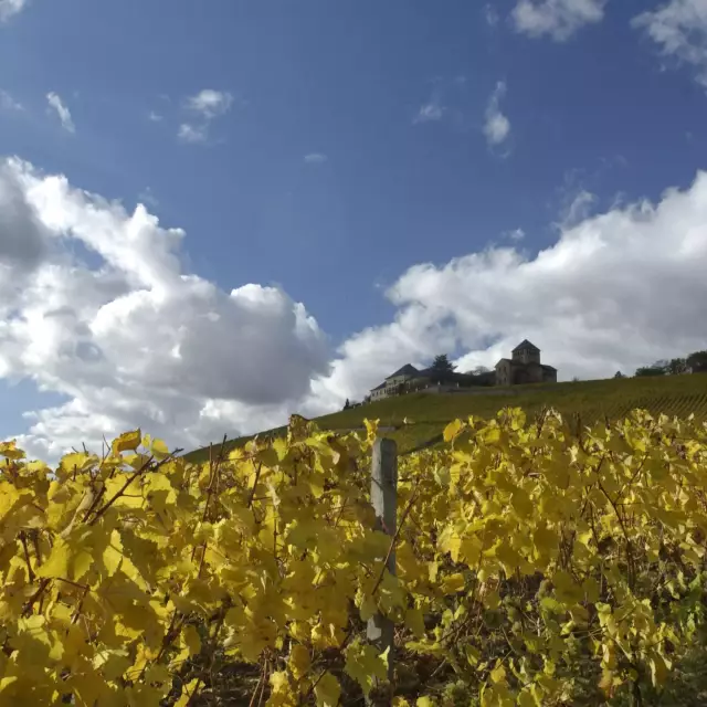 Schloss Johannisberg im Rheingau